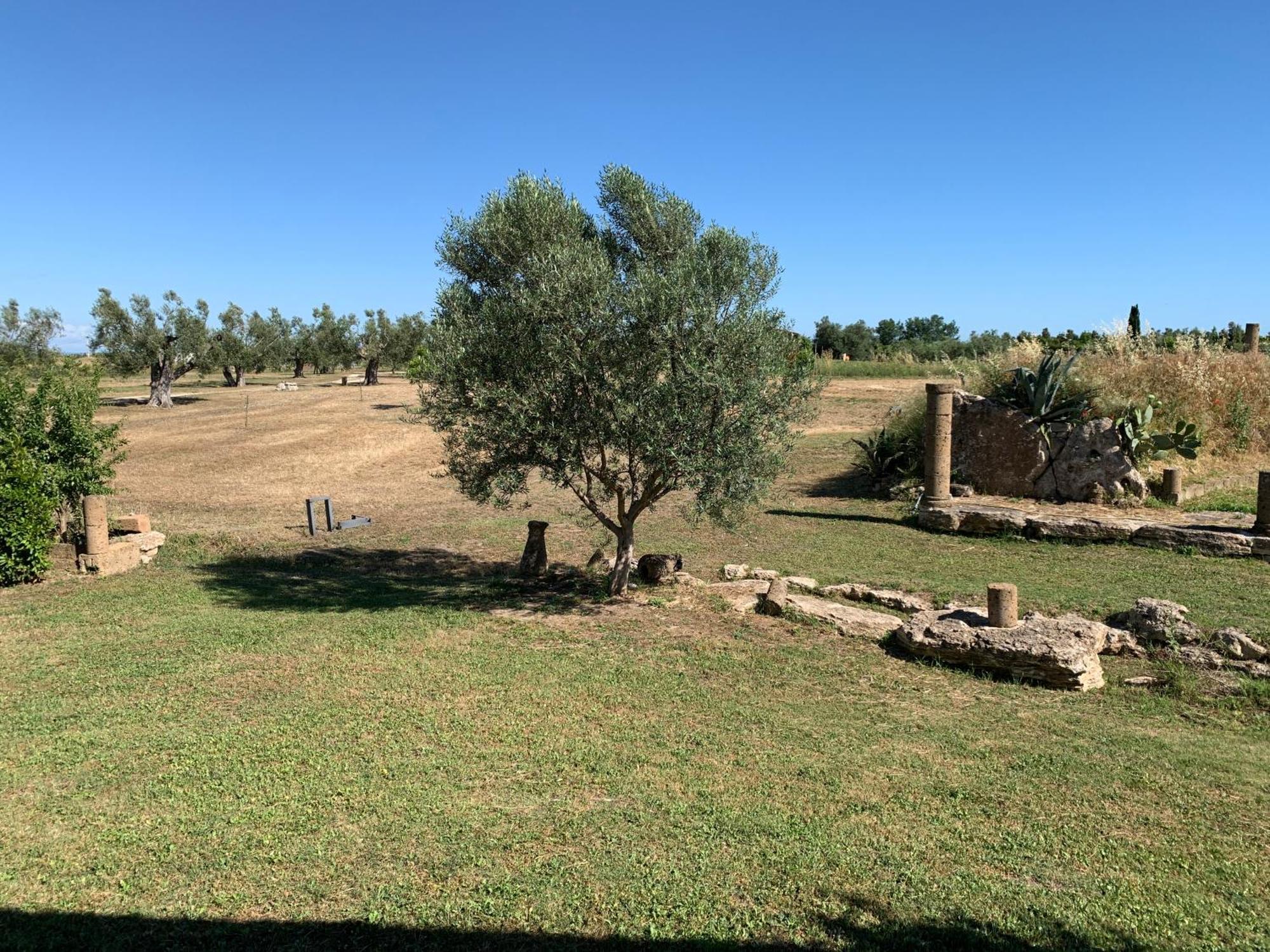 Resort Fonte Vulci Canino Extérieur photo