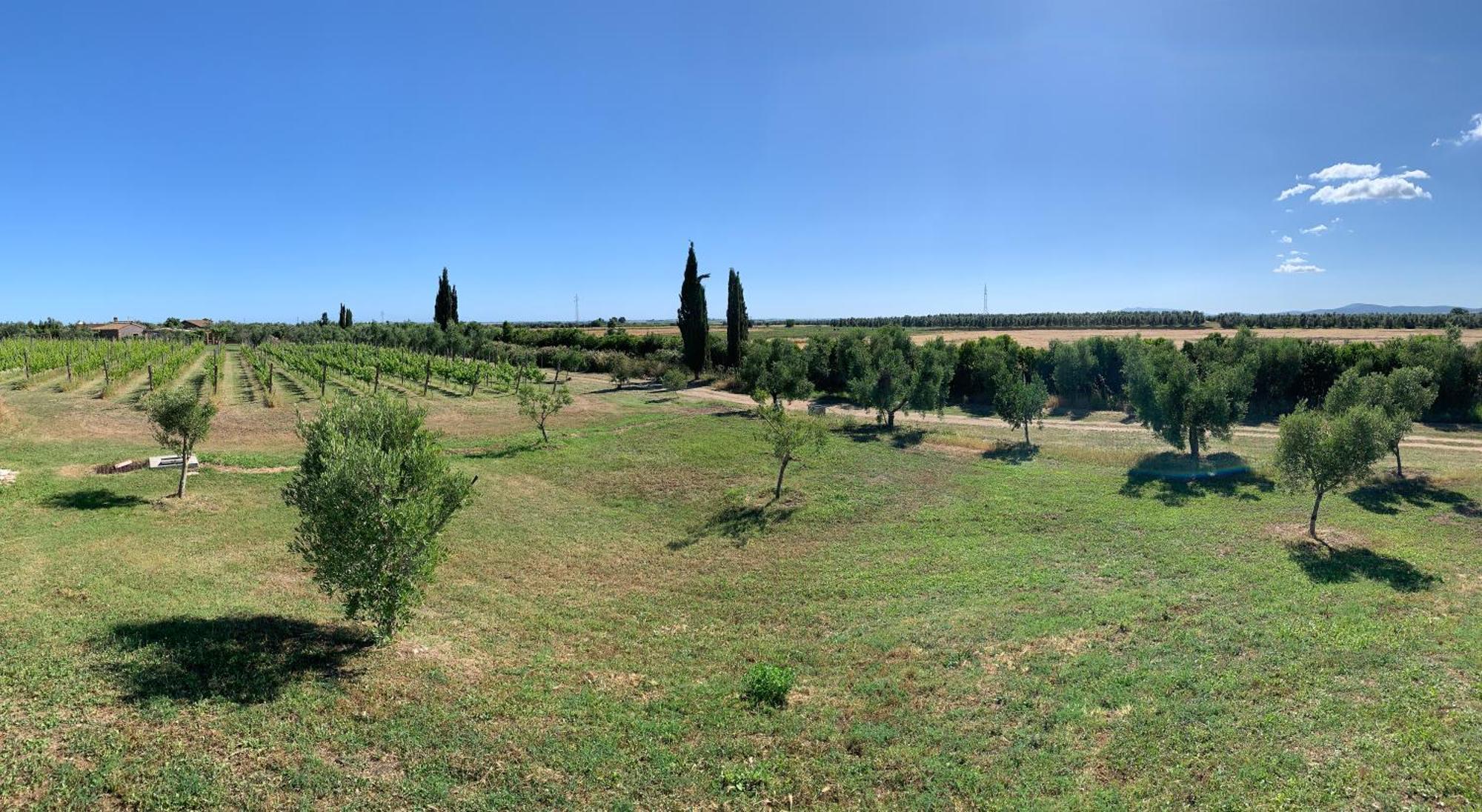 Resort Fonte Vulci Canino Extérieur photo